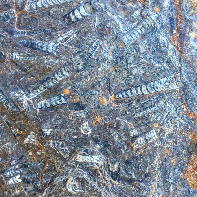 temp.63dc81e81750b9b31186