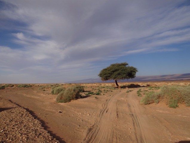 temp.75ebf5700eb37c1e5e8b